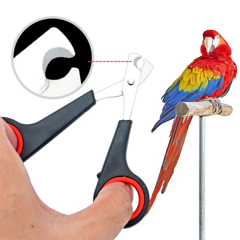 Grooming Scissors - 12cmペット用爪切りはさみ 犬猫用爪切りツール ウサギ用爪切りトリマー グルーミング用爪切り 鳥類用爪切りツール